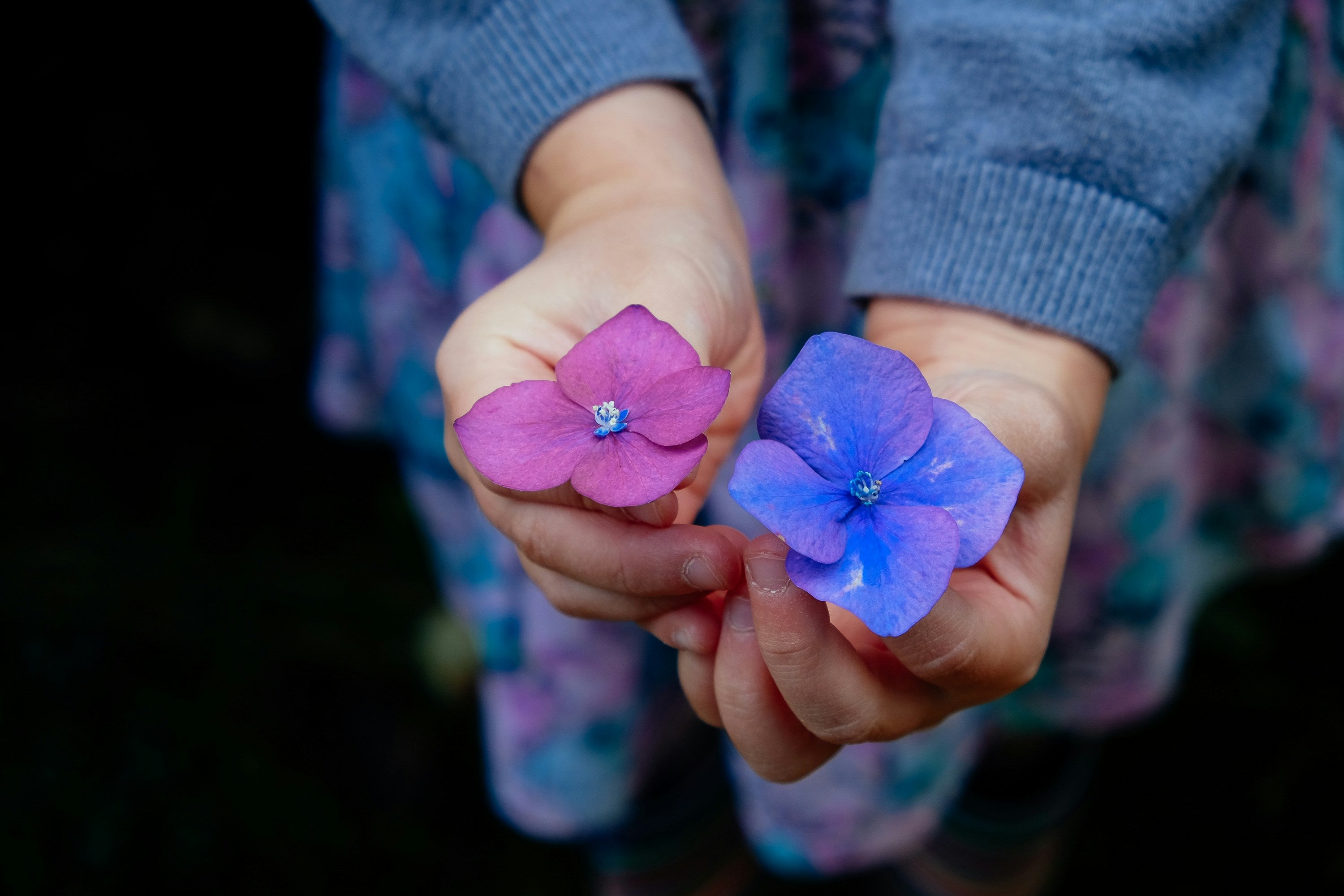 Children’s Toys & More