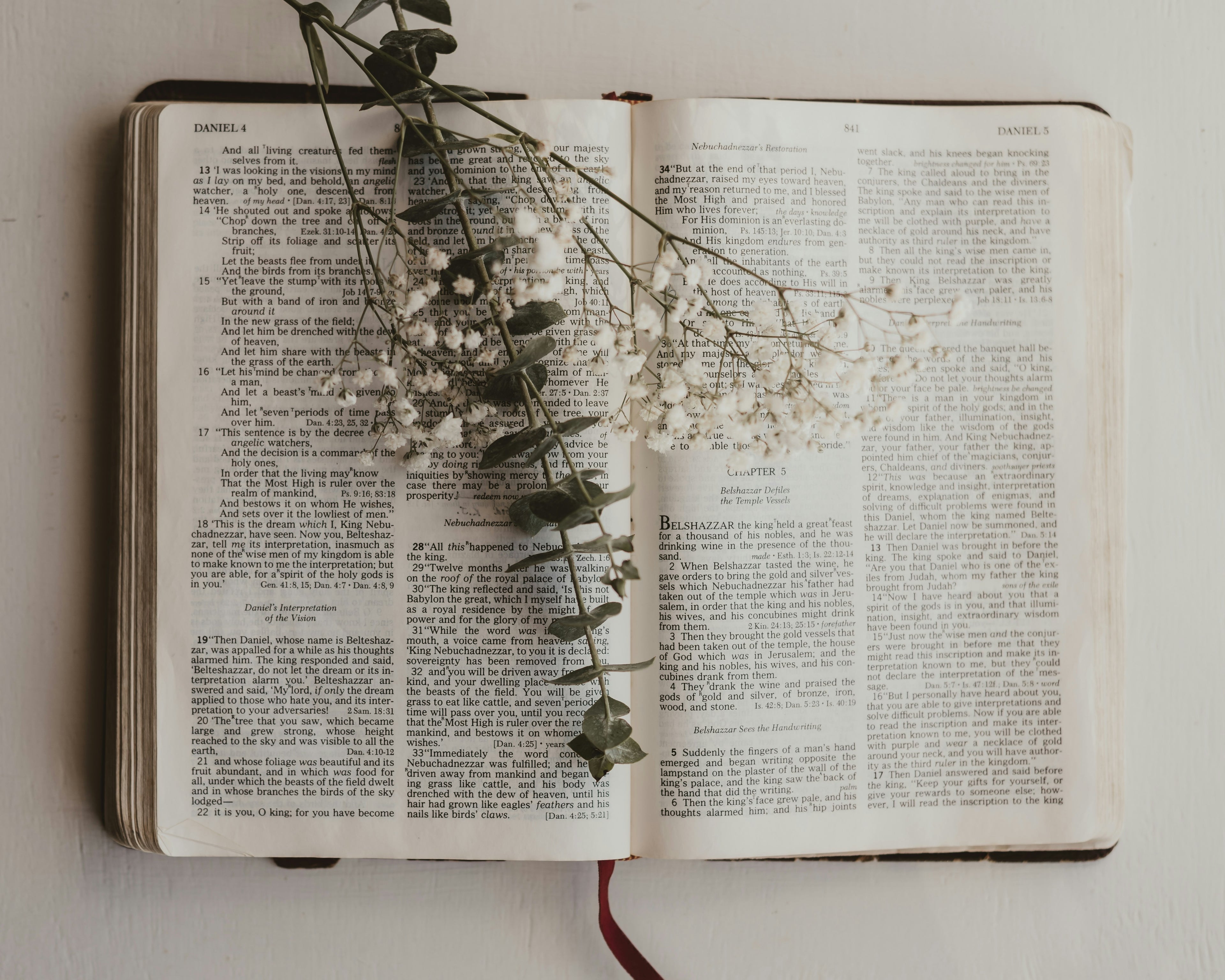 Bibles