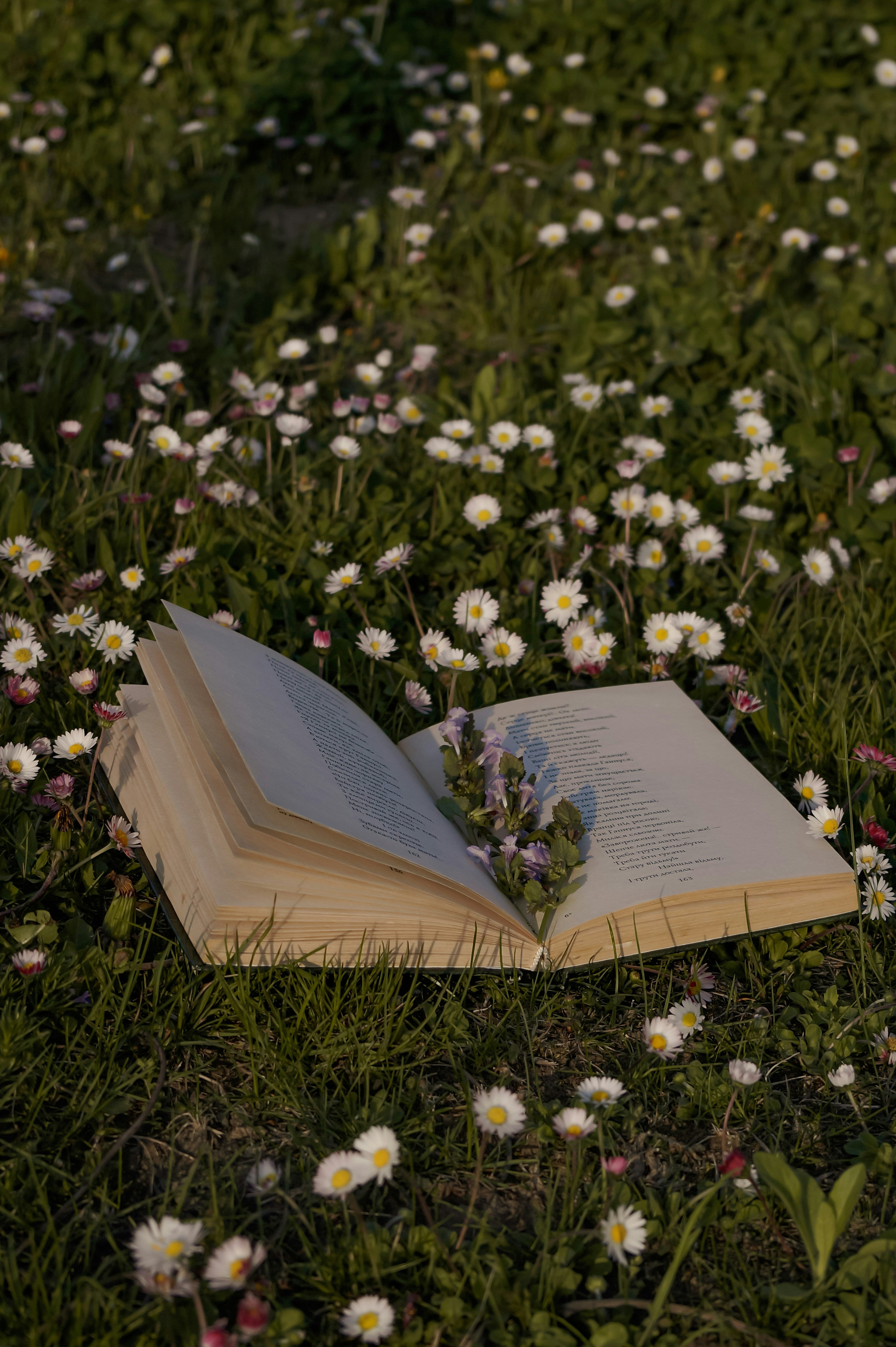 Grace & Garden Press Originals