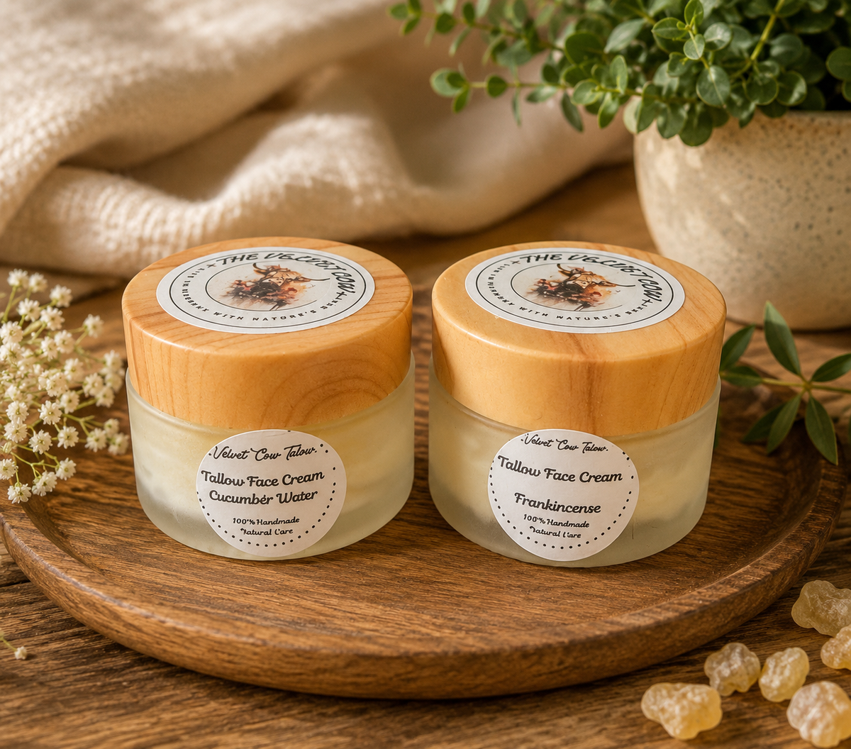 Radiance Renewal Tallow Face Cream | Bakuchiol, Moringa, Vitamin E & Hyaluronic Acid