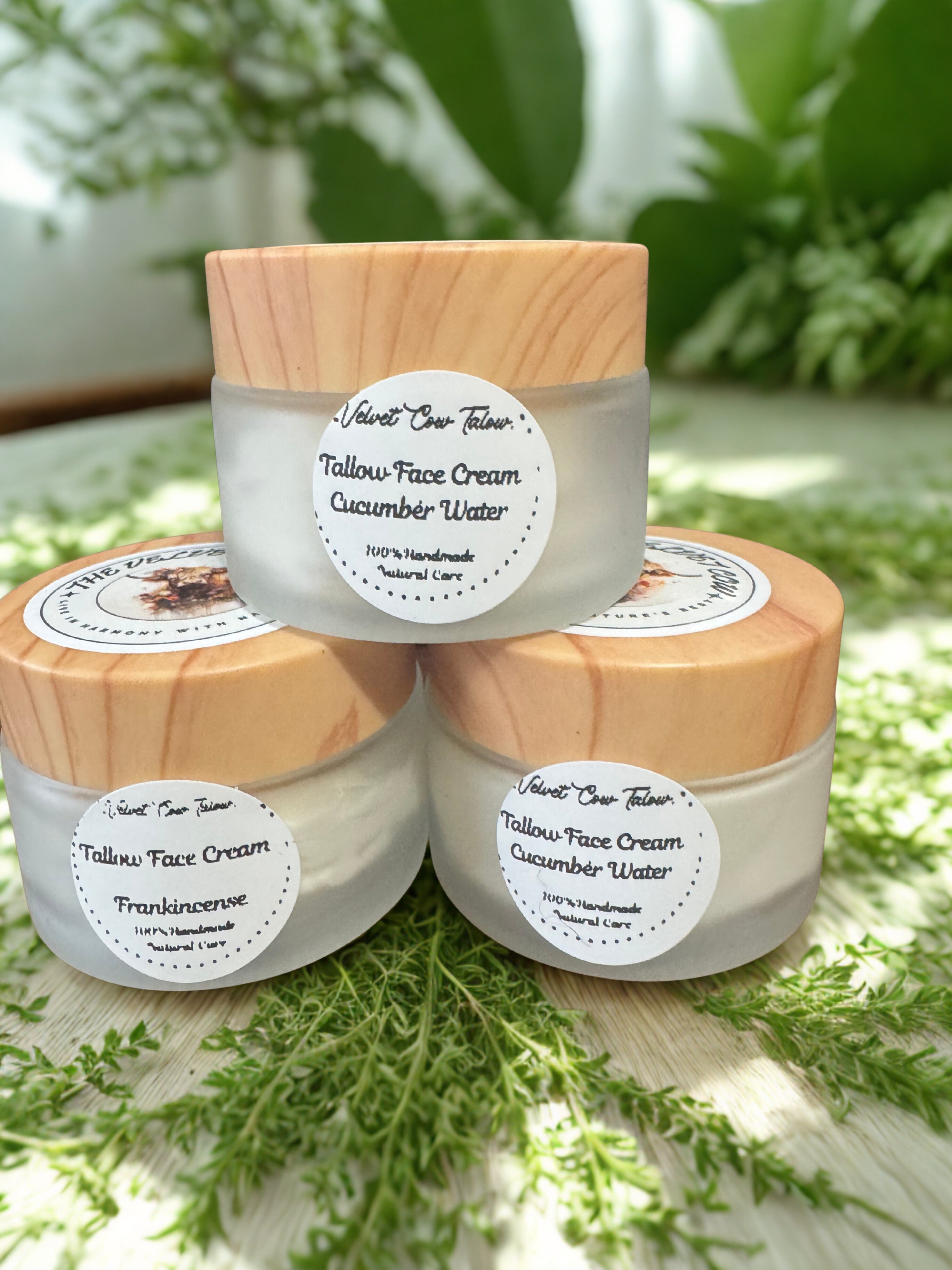 Radiance Renewal Tallow Face Cream | Bakuchiol, Moringa, Vitamin E & Hyaluronic Acid