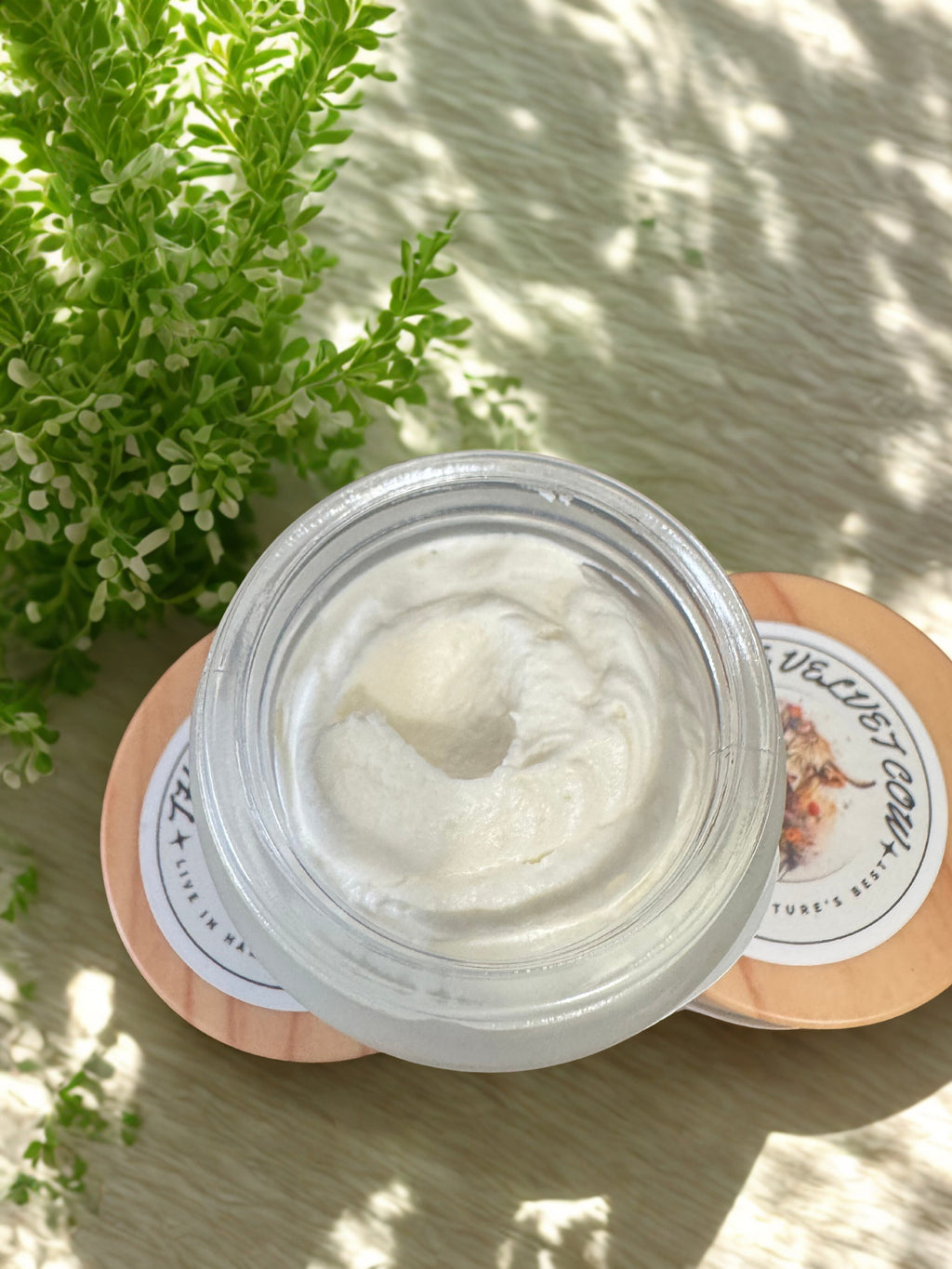 Radiance Renewal Tallow Face Cream | Bakuchiol, Moringa, Vitamin E & Hyaluronic Acid